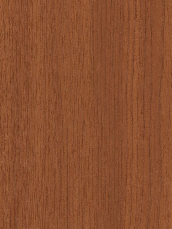 Andean Walnut - CT08
