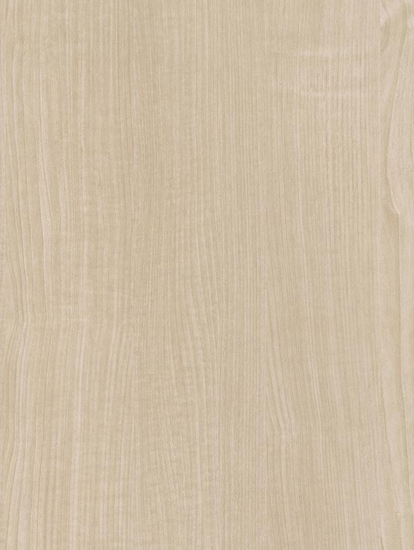 Pale Grey Maple - CT13