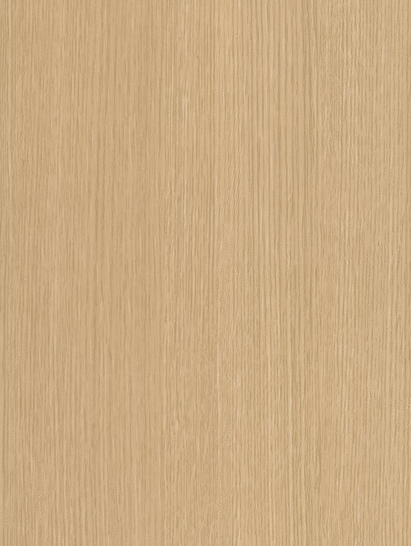Beige Birch - CT28