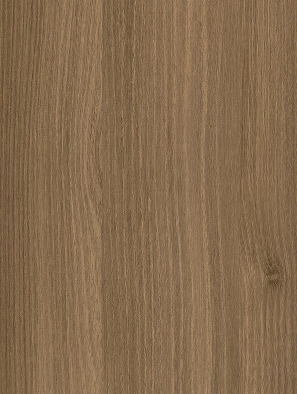 Brown Acacia - CT88