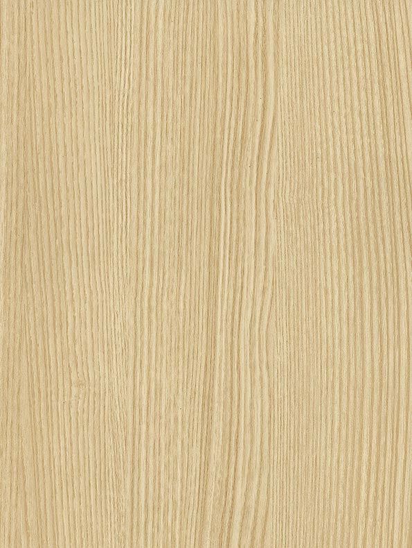 Blond Beech - NF76