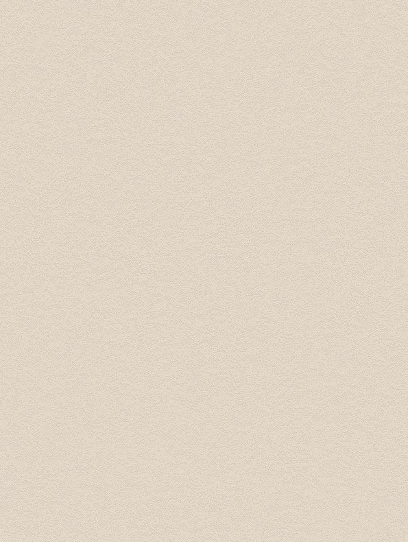 Snowflake Stucco - NH49