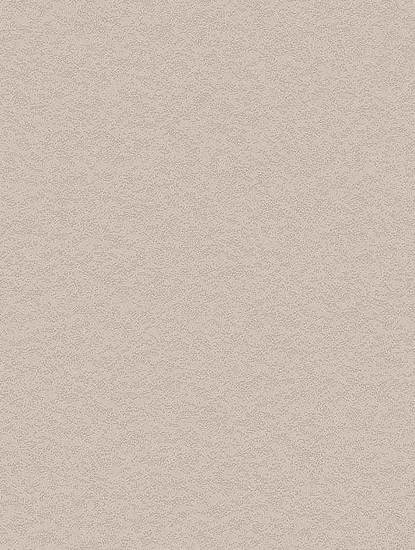Cashmere Stucco - NH50