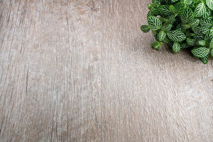 Grey Line Oak - AA15