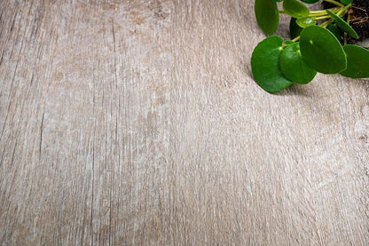 Grey Line Oak - AA15