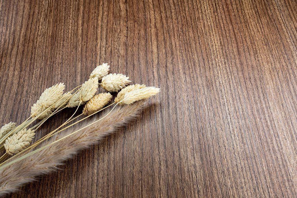 Hazelnut Cream - AF10