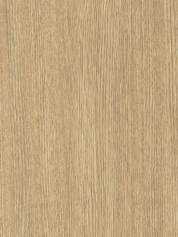 Beige Ash - AG11