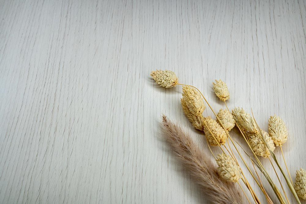 Pale White Oak - AL29