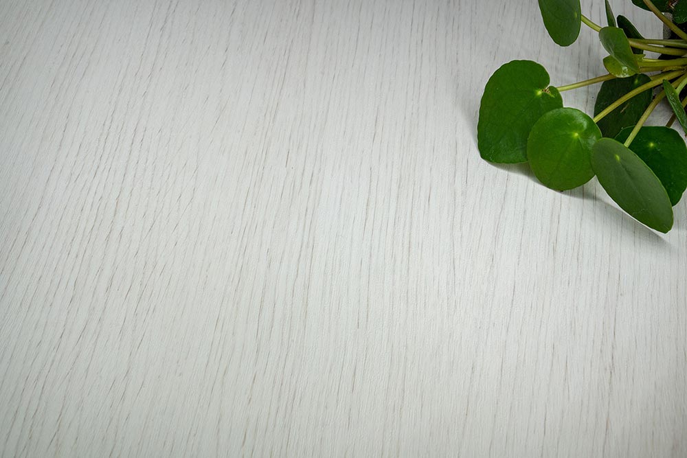 Pale White Oak - AL29