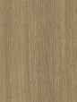 Almond Teak - CT15