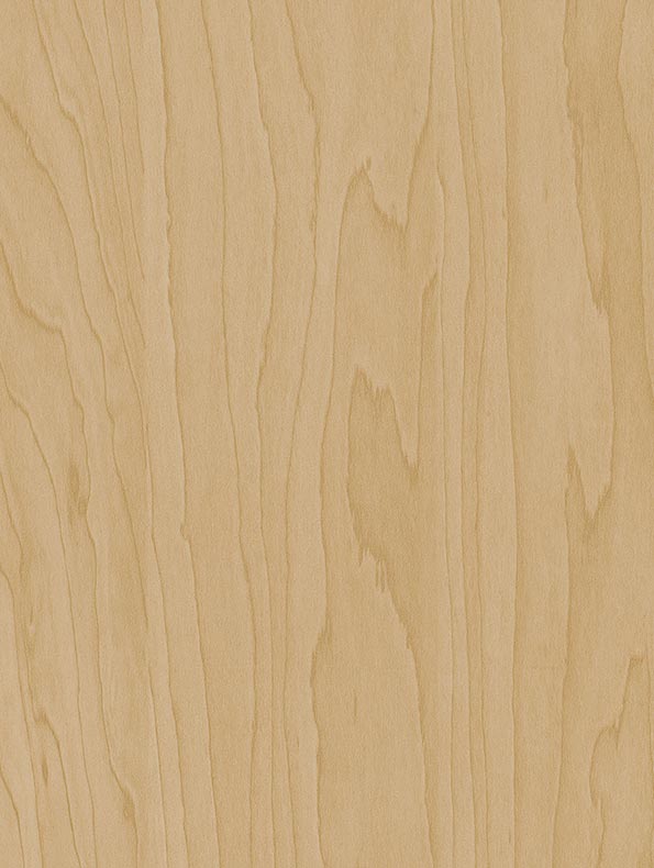 Gold Beige Birch - CT20