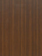 Brown Orangey Birch - CT24