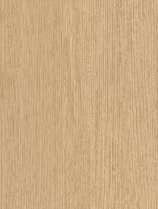 Beige Birch - CT28