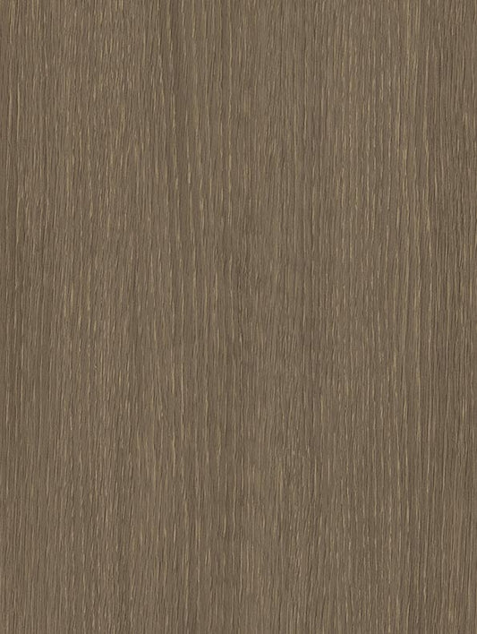 Cream Brown - CT69