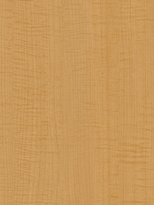 Yellow Sycamore - CT70