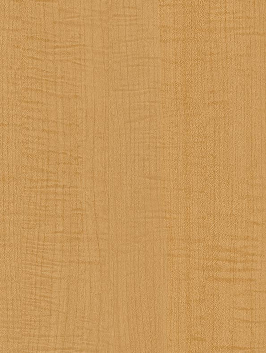 Yellow Sycamore - CT70