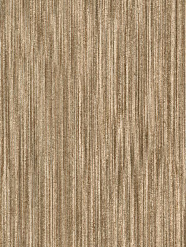 Birch plywood - CT84