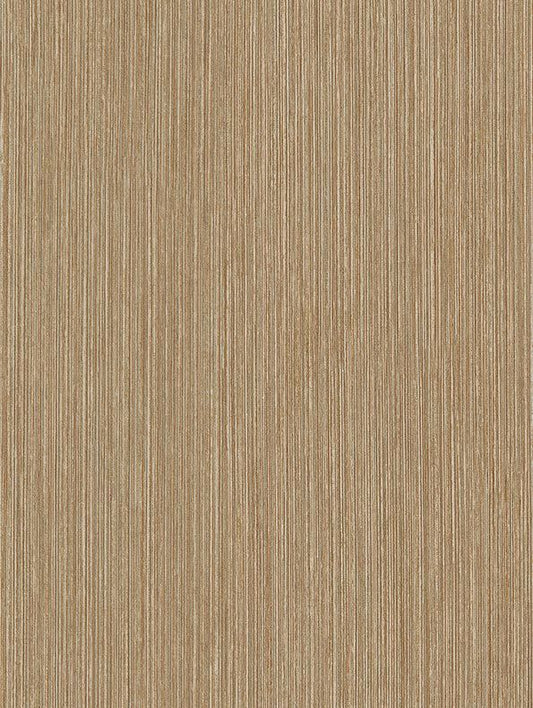 Birch plywood - CT84