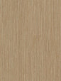 Birch plywood - CT84