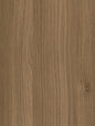 Brown Acacia - CT88