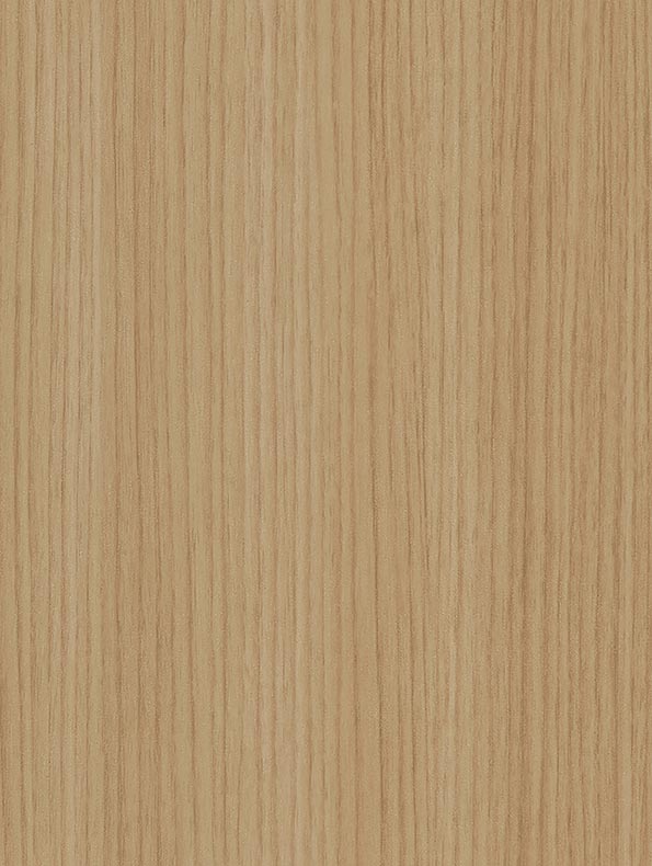 Almond Palm Tree - CT97