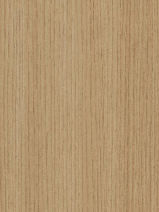 Almond Palm Tree - CT97