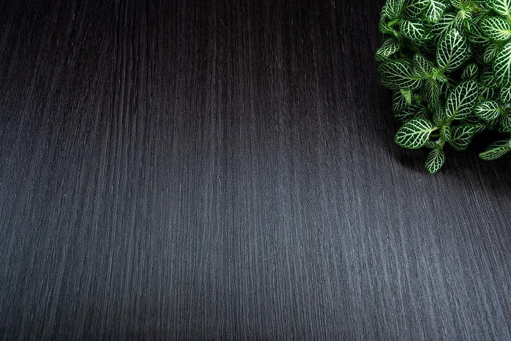 Castagno Caducci - F7