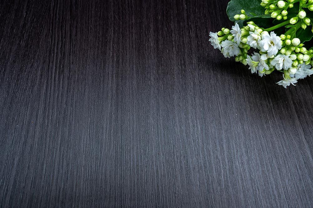 Castagno Caducci - F7