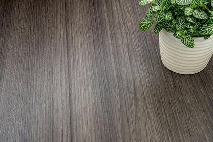 Mario Grey Oak  - I10