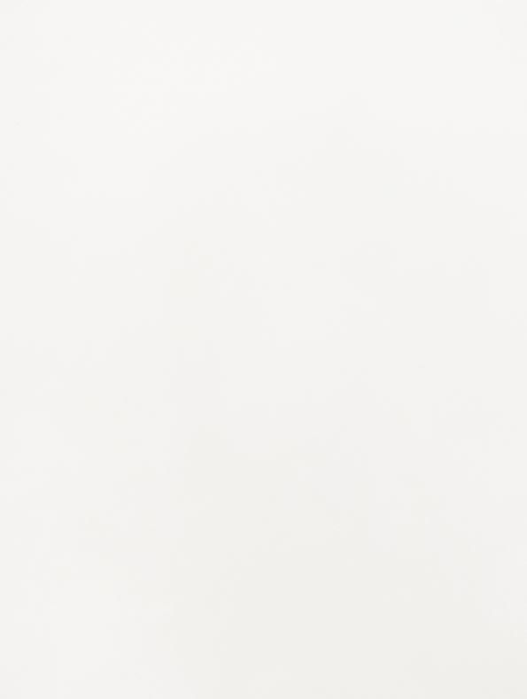 Lacquered White - J4