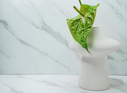 Statuary White - NE31