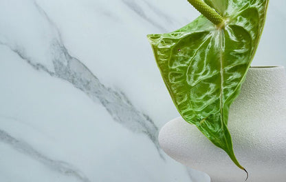 Statuary White - NE31