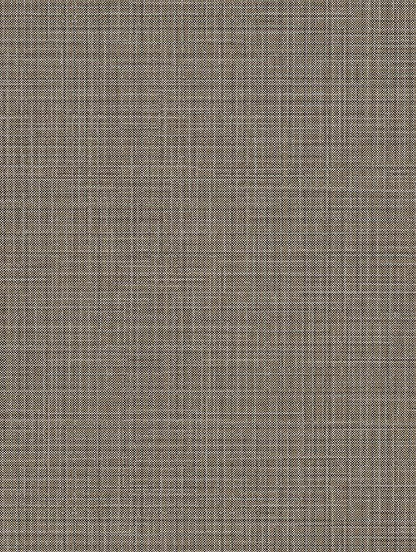 Silver & Brown Lined - NE37