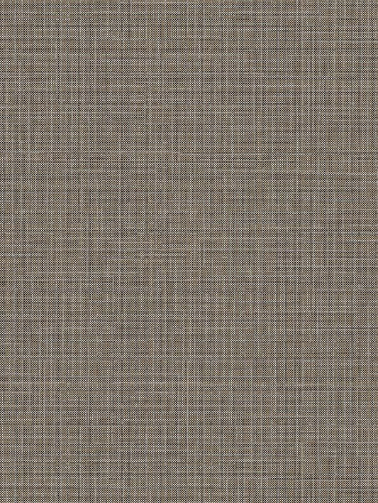 Silver & Brown Lined - NE37