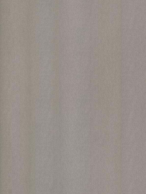 Champagne Silver - NE51