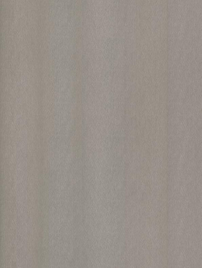 Champagne Silver - NE51