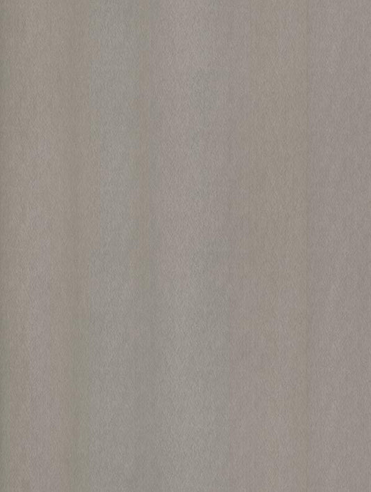 Champagne Silver - NE51