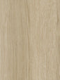 Chêne Gris Crème - NE61