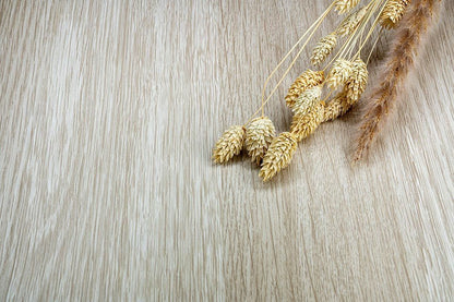 Chêne Gris Crème - NE61