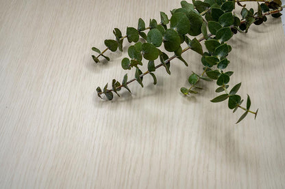 Pale Hazelwood - NE63