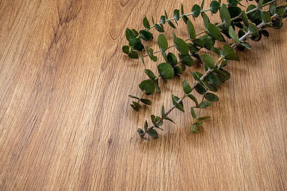 Freijo Laurel - NE68