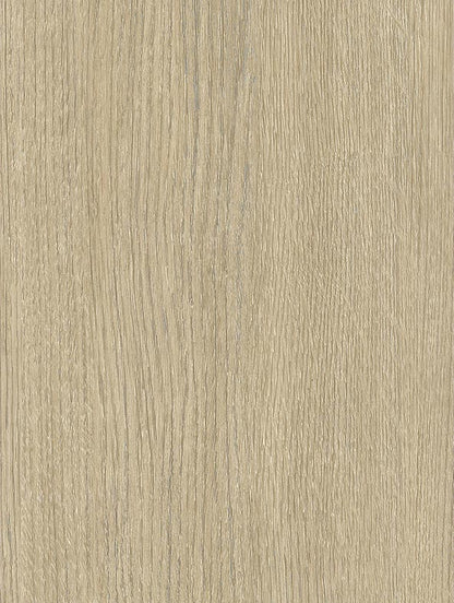 Almond Oak - NF32