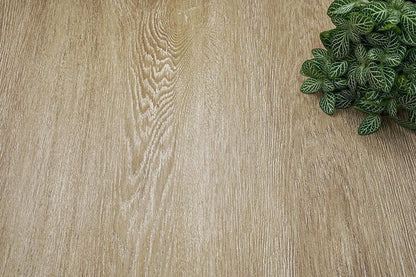Bleached Bronze Oak - NF43