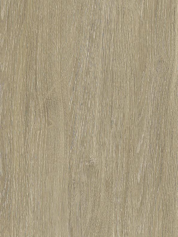 Bleached Grey Oak - NF44