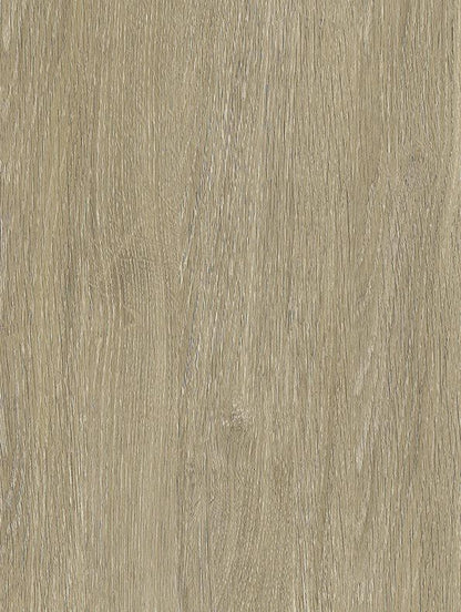 Bleached Grey Oak - NF44