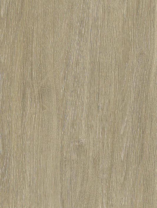 Bleached Grey Oak - NF44
