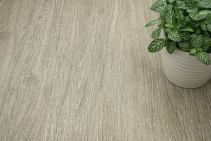 Bleached Grey Oak - NF44