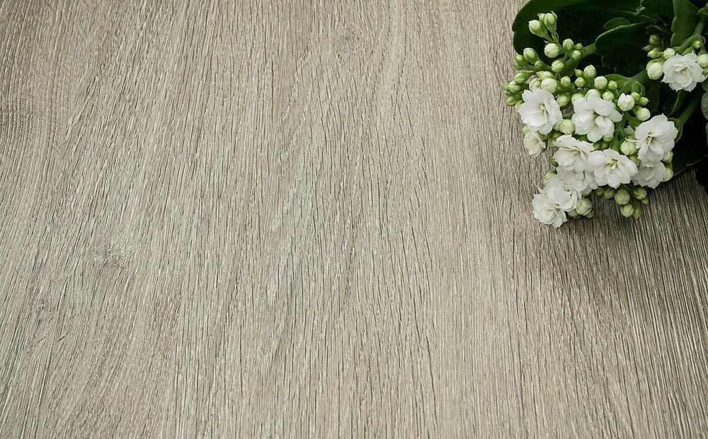 Bleached Grey Oak - NF44