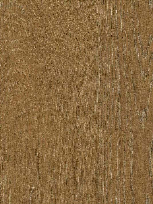 Castagno Eiche - NF50