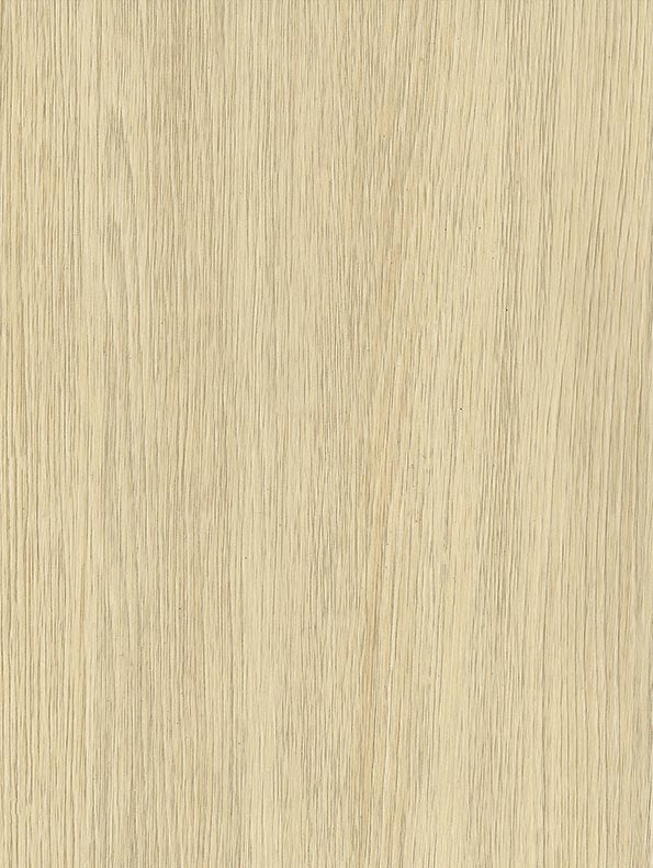 Ivory Oak - NF53
